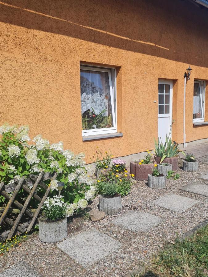 Ferienwohnung Warnitz Blankenburg  エクステリア 写真